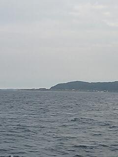 20130802_174236.jpg