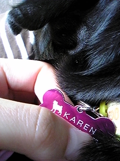 091107_100503.jpg