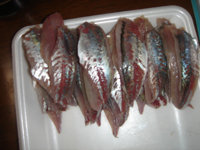 DSC04576.JPG