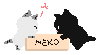 みーみー