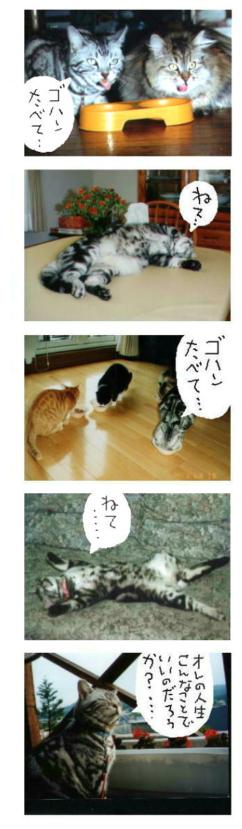 反省