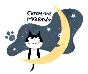 Catch The Moon