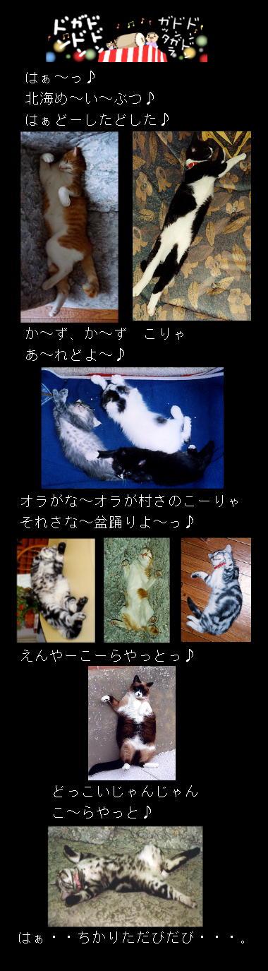 北海猫盆踊り