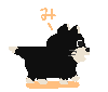 コケ猫黒
