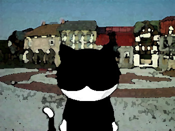 てらす1