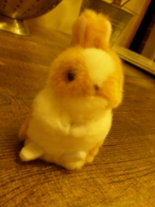 まじかわ!