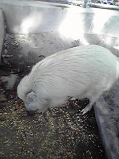 2009050609150002.jpg