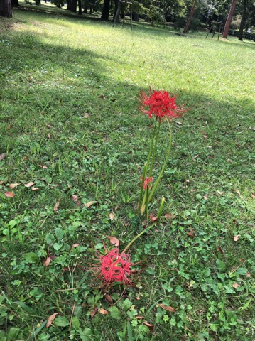 image0.jpeg