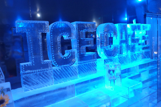 DSCF2232.jpg