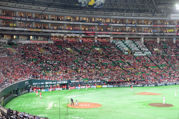 DSCF3546.jpg
