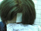 20090703.jpg