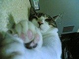 20091106.jpg