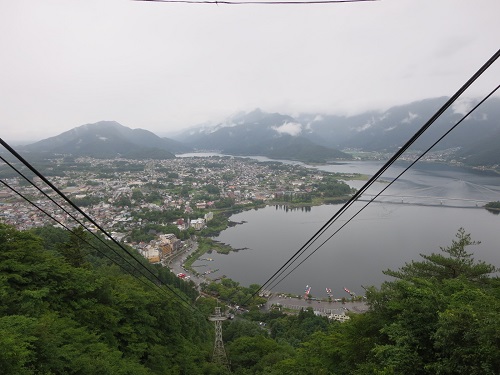 IMG_8658.jpg