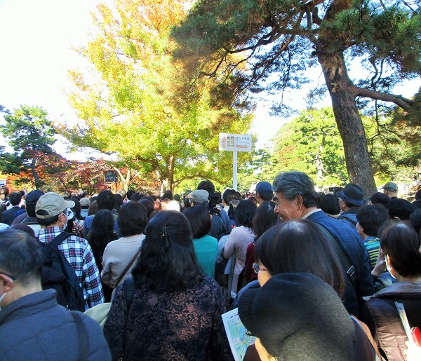 「大嘗宮」の一般公開【2019年12月】