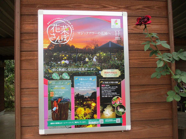 神奈川県立花と緑のふれあいセンター　花菜（かな）ガーデン【2022年10月】