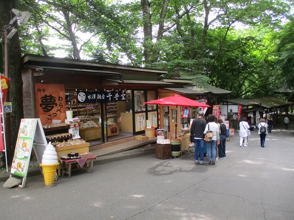 【日帰りバスツアー】水澤寺〜はらだ農園〜吹割の滝【2023年６月】