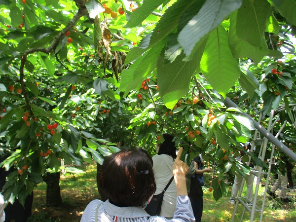 原田農園