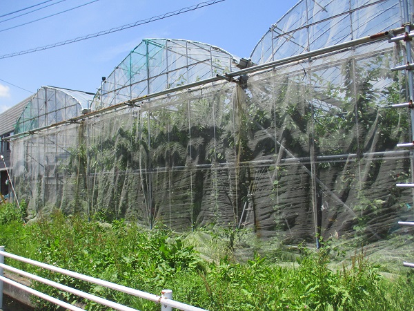 原田農園