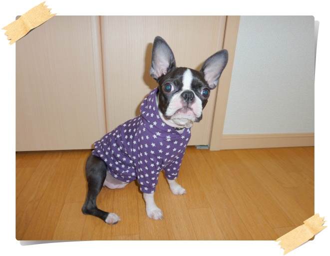 ☆柄がかわいいね