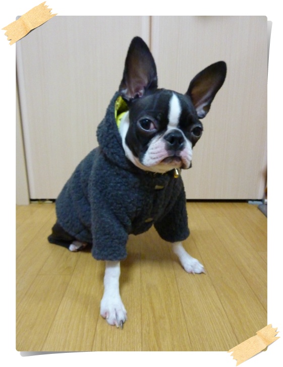 フリースジャケットだよ