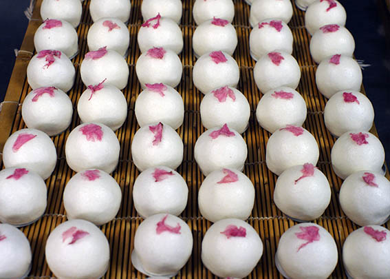 上生菓子 上用 山桜