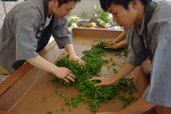 新茶会04