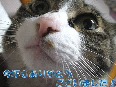 感謝!