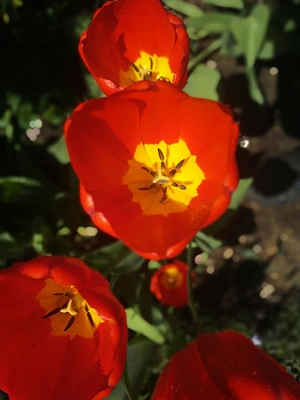 2017-05-18-11.05.53.jpg