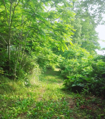 2017-07-01-15.38.08-2.jpg