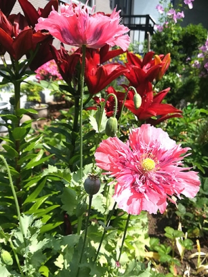 IMG_20190711_094023.jpg