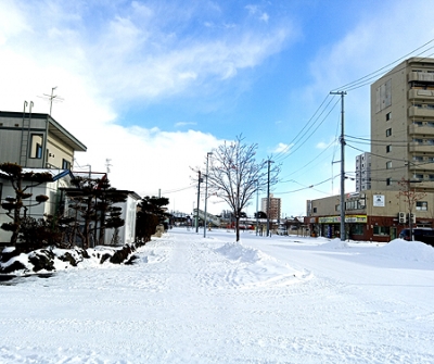 IMG_20191224_124014.jpg