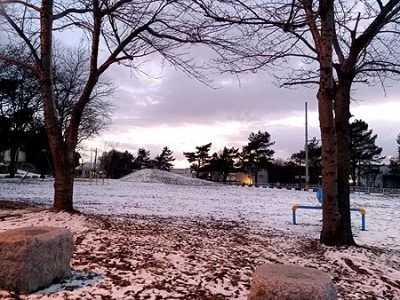 IMG_20200103_163105.jpg
