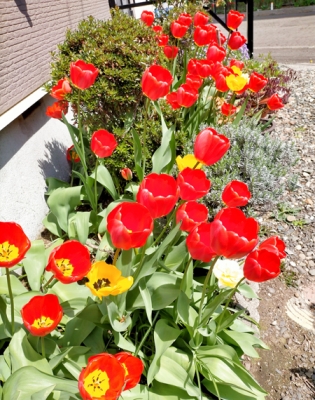 IMG_20200509_195444.jpg