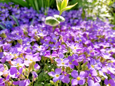 IMG_20200512_154406.jpg