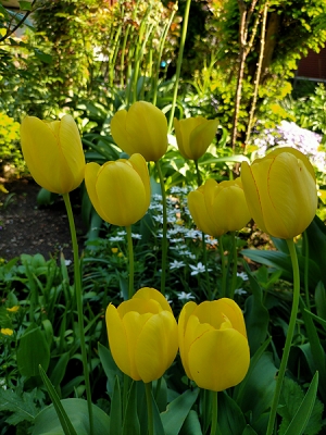 IMG20200529151715.jpg