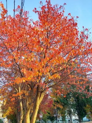IMG20201027154422.jpg