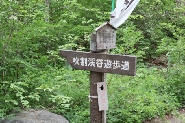 IMG_0641.JPG