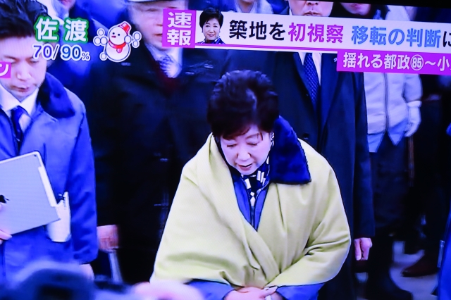 劇場型政治 で豊洲市場移転延期に噛みついた伊藤裕康は何様ですか 通販新潟コシヒカリ ジジイの独り言