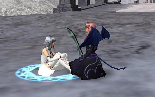 09年11月の記事 カミーリャクロニクル