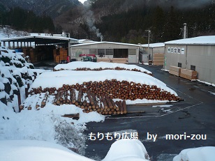 ÌÚÁ½¤Ò¤Î¤Âθ³¥Ä¥¢¡¼¹©¾ì¸«³ØÊÔ£±mori-zou.jpg