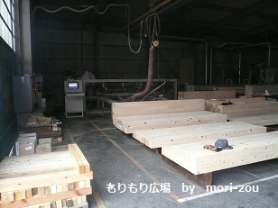 ÌÚÁ½¤Ò¤Î¤Âθ³¥Ä¥¢¡¼¹©¾ì¸«³ØÊÔ2mori-zou.jpg