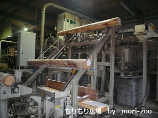 ÌÚÁ½¤Ò¤Î¤Âθ³¥Ä¥¢¡¼¹©¾ì¸«³ØÊÔ£¶mori-zou.jpg