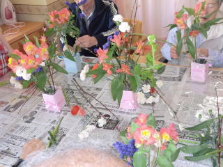 CIMG0975.JPG