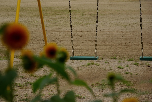 IMGP0159.JPG