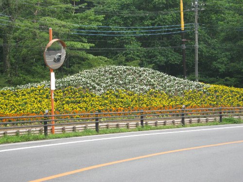 忍野