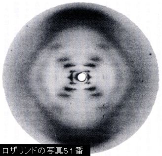 ロザリンドの写真51番.jpg