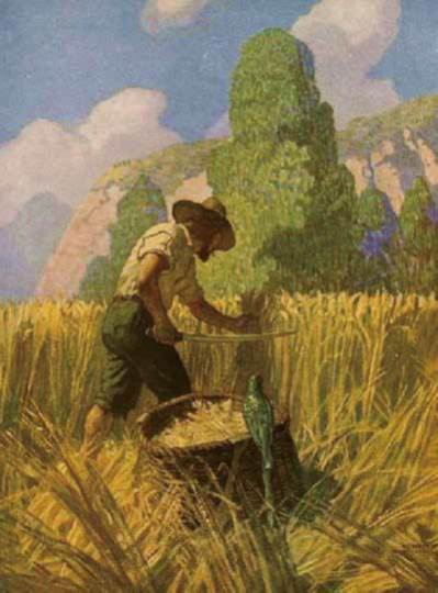 Robinson_Crusoe_1_7.jpg