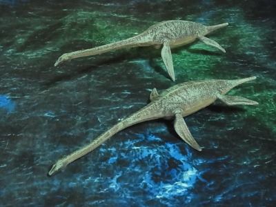 水棲恐竜（大型）プレシオサウルス - Dinosaur,Aquatic(Large