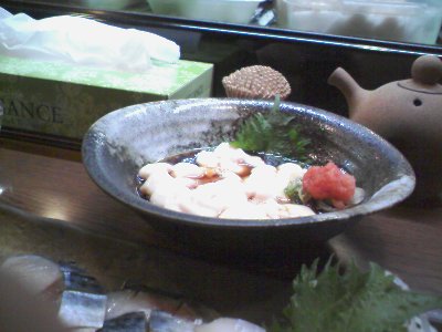 タチぽん