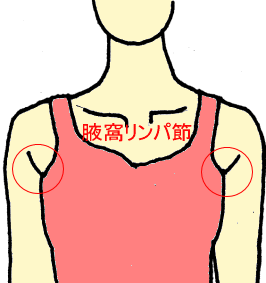 二の腕リンパマッサージやり方 リンパマッサージやり方 下半身 顔 二の腕リンパマッサージやり方